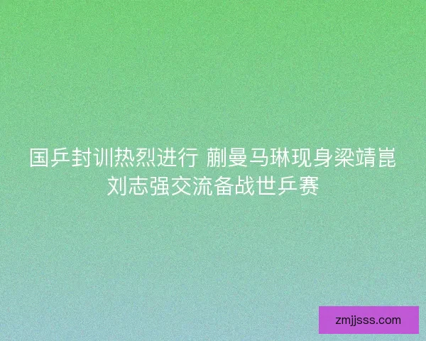 国乒封训热烈进行 蒯曼马琳现身梁靖崑刘志强交流备战世乒赛